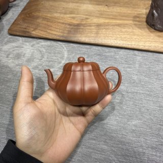 筋紋君德 筋紋君德