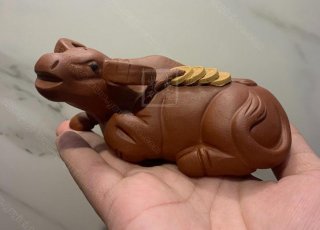 《金錢福?！? title=